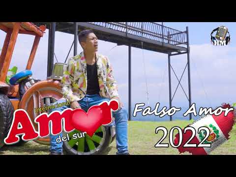 Amor Del Sur - Falso Amor (video audio)|tecno cumbia