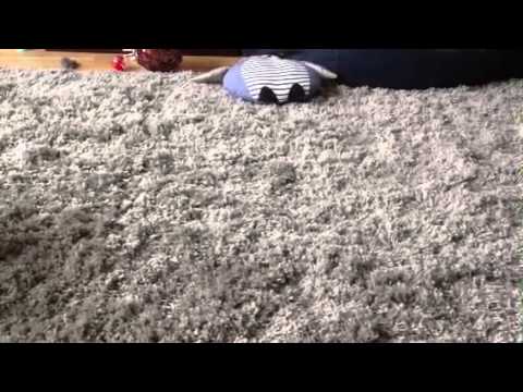 Kalinda rolls on comand