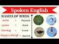 Birds Names In Tamil And English With Pictures Spoken English For Beginners Ultramind