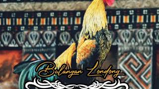 Download lagu Stori wa bulangan londong mp3 Download lagu Stori wa bulangan londong mp3