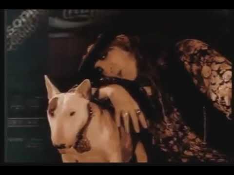 The Dogs D'Amour - How Come It Never Rains