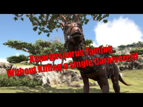 (ARK Survival Evolved)How to tame Amargasaurus without killing any carnivore