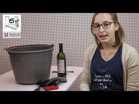 Wege zum Wein 09 - Rent a Rebstock