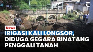 Download lagu WADUH! Irigasi Kali Cidepit Bogor Longsor, Dinas SDA Jabar Tuduh Binatang Penggali Tanah mp3