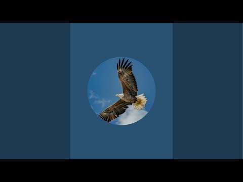 „Uważajcie, czuwajcie, bo nie wiecie, kiedy czas ten nadejdzie.” Mk 13.33 Webinarium 07.02.2026 cz.1