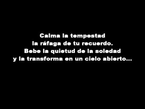 Solo canto por vos (Letra) Abel Pintos
