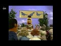 Keep The Park Clean For The Pigeons German Dub