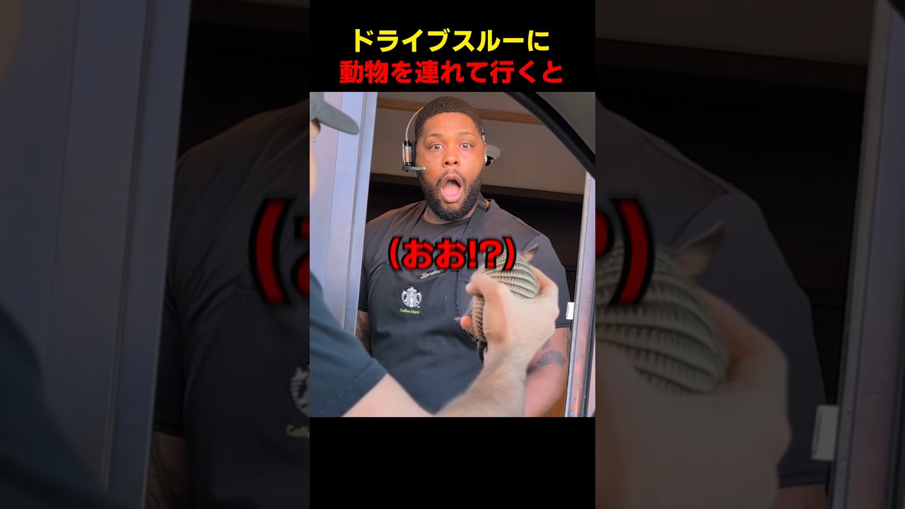ドライブスルーに動物を連れて行くと