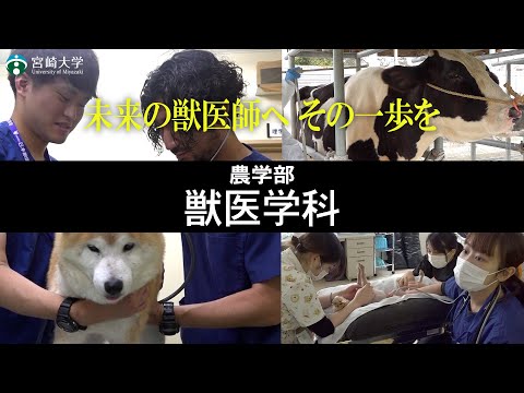 【未来の獣医師へ その一歩を】宮崎大学農学部｜獣医学科