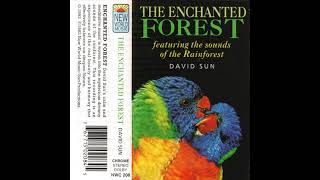 David Sun ~ The Enchanted Forest (1992) • [cassette rip] • [nature sounds / ambient]