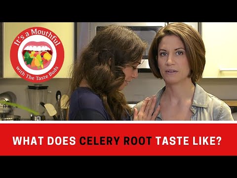 download lagu mp3 mp4 What Does Celery Root Taste Like, download lagu What Does Celery Root Taste Like gratis, unduh video klip What Does Celery Root Taste Like
