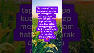 Download lagu Cinta Sejati #fypviral #quotes #motivasidiri #ruanghati #katahatimotivasi #cintaku #cintasejati mp3