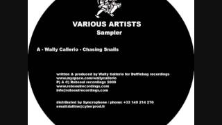 Wally Callerio - Chasing Snails (Robsoul)