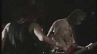 the casualties- punx unite