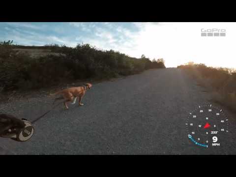 Onewheelin' Mission Trails with Jonah 2016-11-23