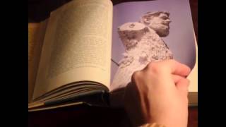 Black Lamb and Grey Falcon