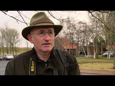 Die Nordstory - Ostfriesen zwischen Dollart und Ems (Mit Jan Bruins)