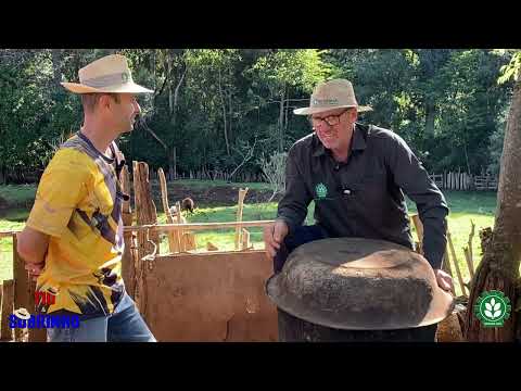 O Banco Não Empresta Mais Pra Ele #humor