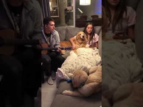 Viva la Vida- Coldplay (with Jessica Giaimo)