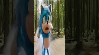 SONIC PERDEU A CORRIDA?