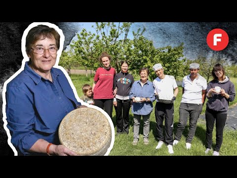 Ferma socială care ajută tinerele din orfelinate să se integreze în societate // Curtea Culorilor🧀