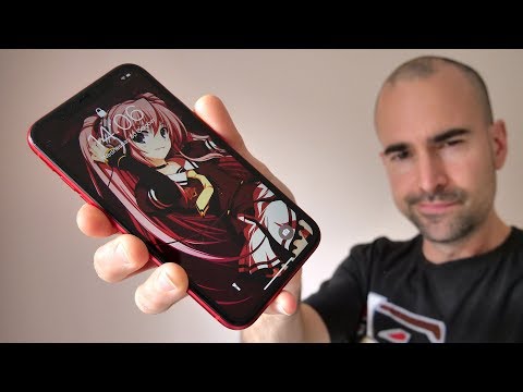 iPhone 11 One Month Review | Worth a punt?