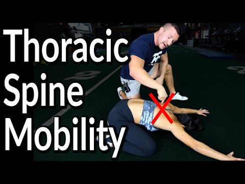 Dynamischer Welpe für die Beweglichkeit der Brustwirbelsäule!