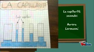 La Capillarità