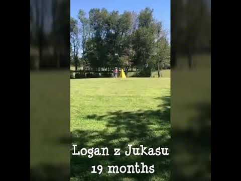 Protection - 19 months