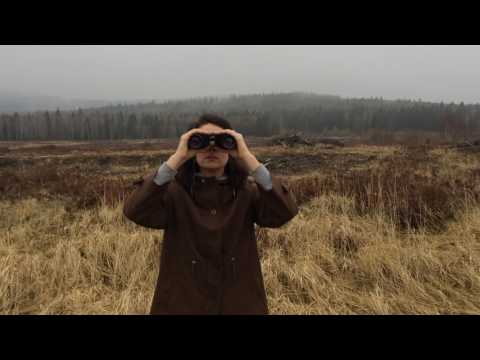 KHOIBA - STOKE THE FIRE