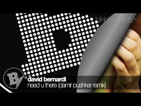 David Bernardi - Need U There (Damir Pushkar Remix)