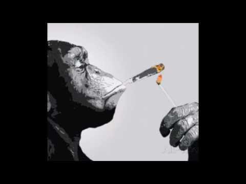 Quando ti sale la scimmia e chiami in erboristeria.