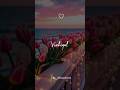 Avanai Avanai Rasithu Kidantha Vizhigal Lyrics Whatsapp Status Lovemusic Songstatus Ytshorts Love