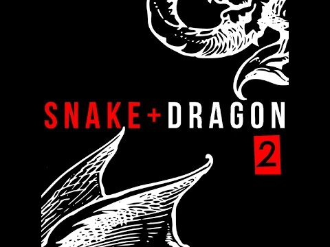 NEW ALBUM SPOTLIGHT 9-1-16 - The TCR - Snake + Dragon 2 - Rain Dragon Records 2016 Wavepunk