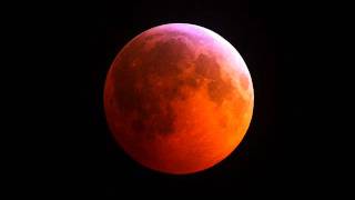 Grace Potter and The Nocturnals - Ragged Company - MN Zoo.wmv