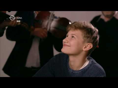 Csapodi Tádé kisfilmje