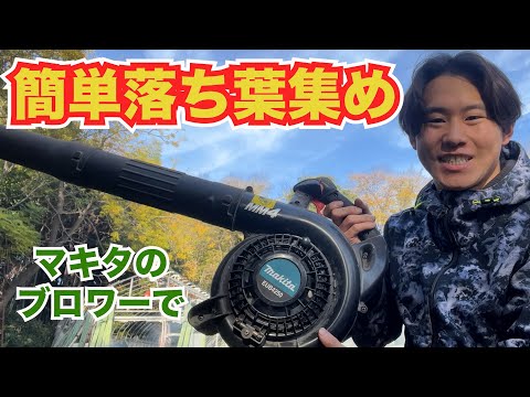 落ち葉拾い 2023