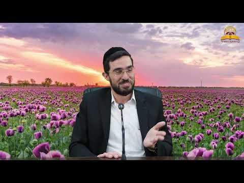 למה באים לסבתא | הרב בנימין טביב 