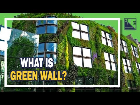 Sustainability of Green Wall Architecture Systems