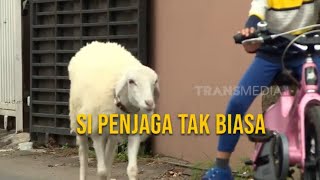 Download lagu Si Penjaga Tak Biasa | SI OTAN (13/08/24) mp3