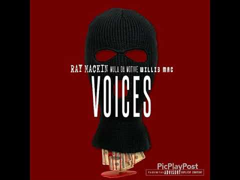 Ray mackin x Mula x Willie mac (VOICES)