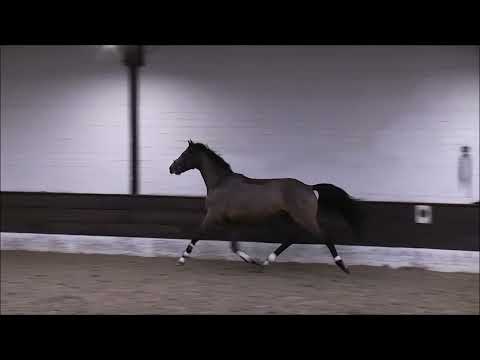 CALVIN KLEIN v. Calido (Freispringen) VB 10000,- Euro