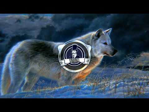 🎧 disco fries - forever ( ft.maline ) ( Nightcore )