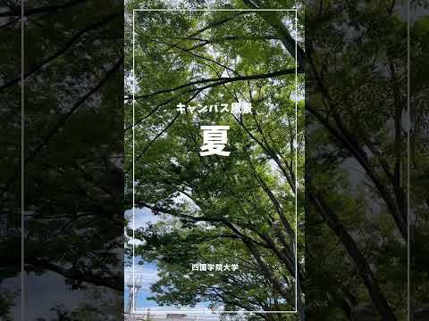 2023年度キャンパス風景_夏 #shorts