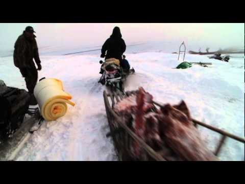 Flying Wild Alaska - ingesneeuwd