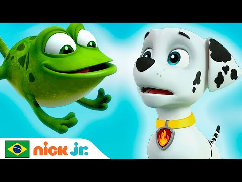 Capa de Patrulha Canina | O amigo sapo sapeca do Marshall | Nick Jr. em Português