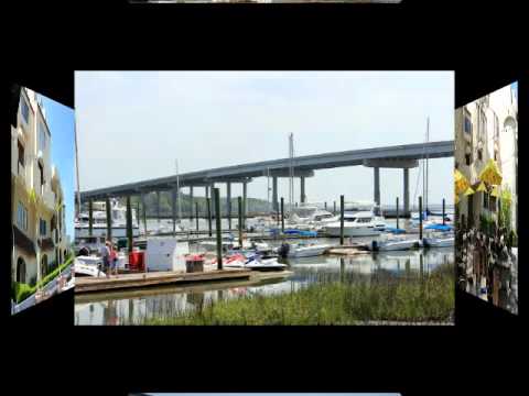 Global Star Capital Founder Rich Cocovich's Tour of Palmetto Bay Marina