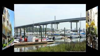 Global Star Capital Founder Rich Cocovich's Tour of Palmetto Bay Marina