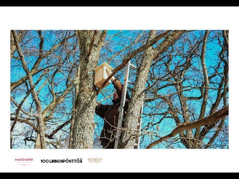 100 linnunpönttöä