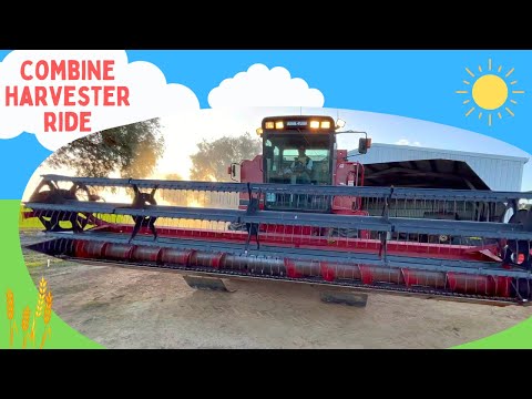 Let's Ride On The Combine Harvester | Harvesting Crops & Farm Adventures for Kids | Tractor Videos